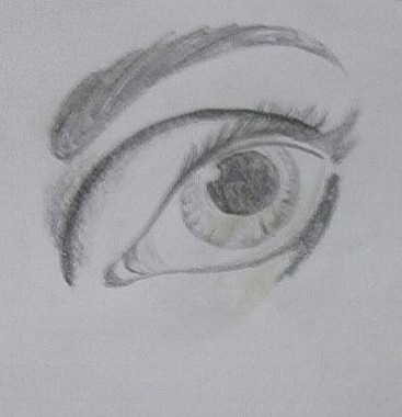 Auge 2