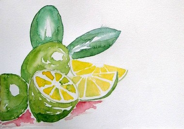 Limonen 1